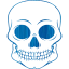 skull 55