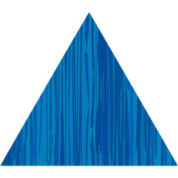 triangle icon