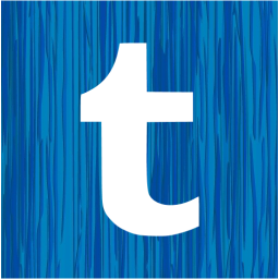 tumblr 2 icon