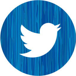 twitter 4 icon