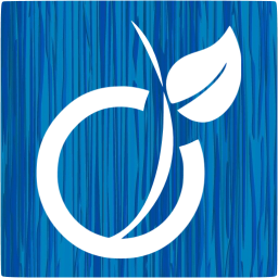 viadeo 5 icon