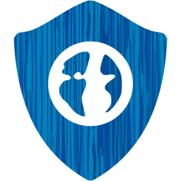 web shield icon