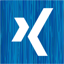 xing 2 icon