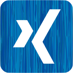 xing 3 icon