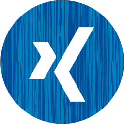 xing 4 icon