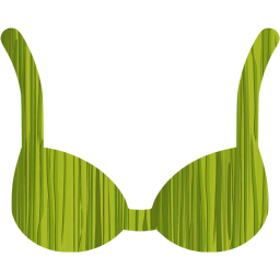 bra icon