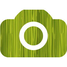 camera 4 icon