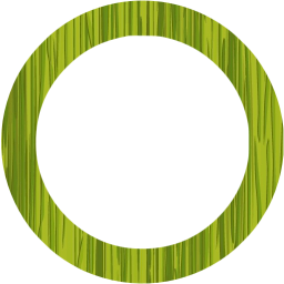 circle outline icon