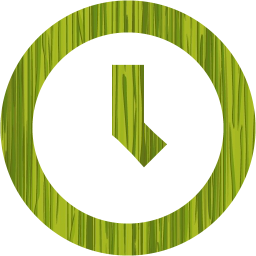 clock 8 icon