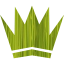 crown