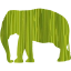 elephant 4