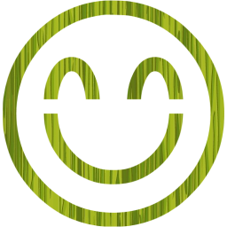 emoticon 17 icon