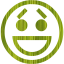 emoticon 47