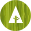 forrst 4