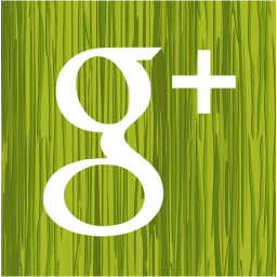 google plus 2 icon