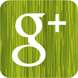 google plus 3 icon