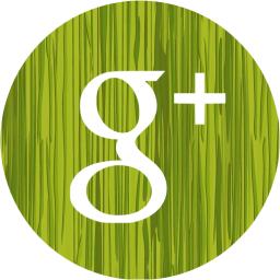 google plus 4 icon