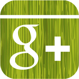 google plus 6 icon