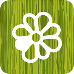 icq 3 icon