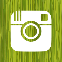 instagram 2 icon