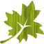 leaf 3