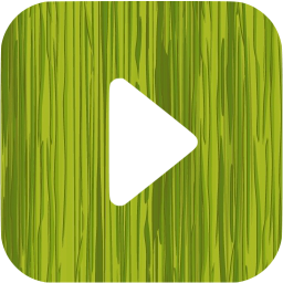 next icon