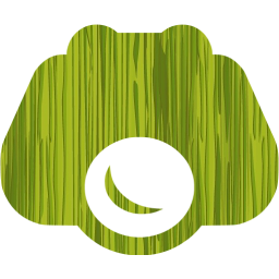 nightvision icon
