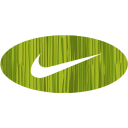 nike 3 icon