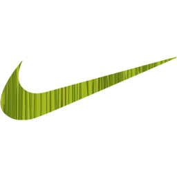 nike icon