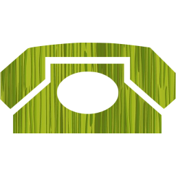 phone 12 icon