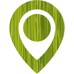 pin 9 icon