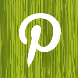 pinterest 2 icon