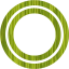 plasmid