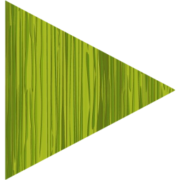 play 5 icon