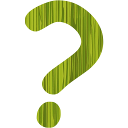 question mark 2 icon