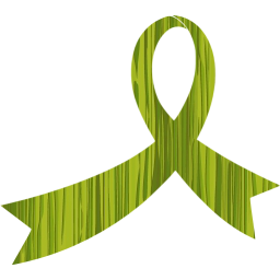 ribbon 11 icon