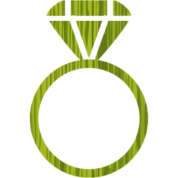 ring 2 icon