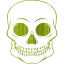 skull 55