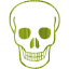 skull 71