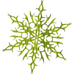snowflake 14 icon