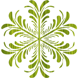 snowflake 17 icon