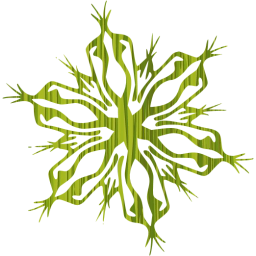 snowflake 4 icon