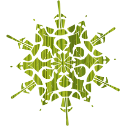 snowflake 40 icon