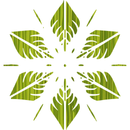 snowflake 5 icon