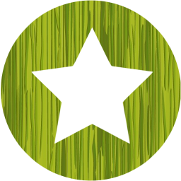 star 6 icon