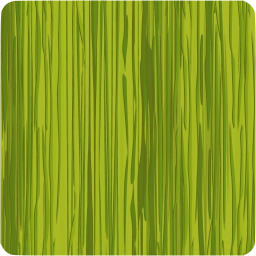 stop icon