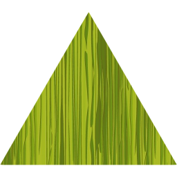 triangle icon