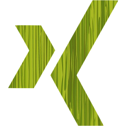 xing icon