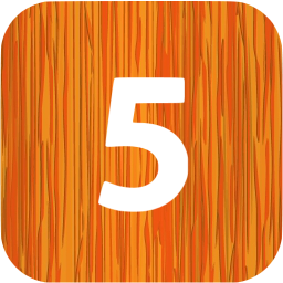 5 filled icon