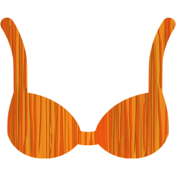 bra icon